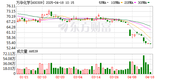 K图 600309_0