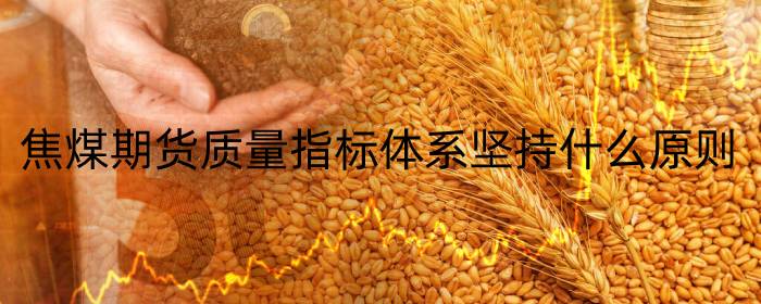 焦煤期货质量指标体系坚持什么原则