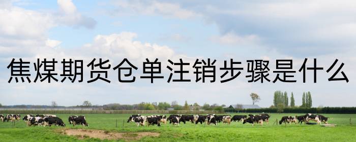 焦煤期货仓单注销步骤是什么