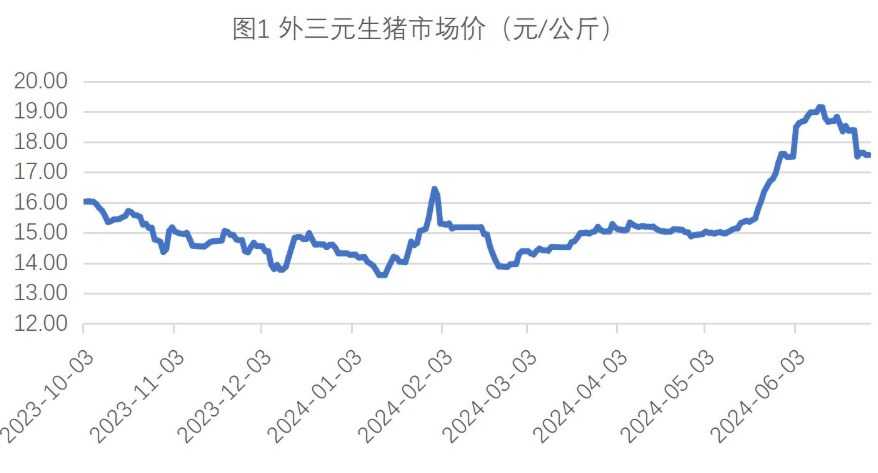 生猪月初场出栏节奏放缓 玉米市场有利多支撑