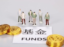 2025基金发行提速，权益类领跑市场