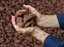 铁矿石价格背离供需关系：金融资本博弈与贸易炒作推高价格