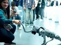 印度闹“笑话”：展会被揭穿抄袭中国机器狗 春晚机器人表演惊艳全球